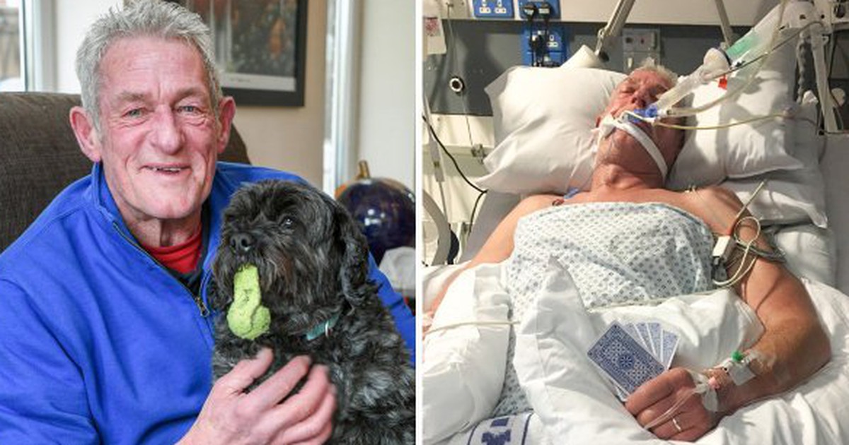 Hund bellt sein Herrchen aus dem Koma